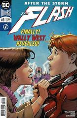 The Flash: After the Storm #45