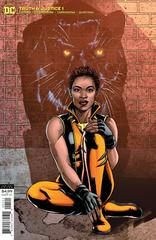 Truth & Justice #1