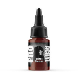 Pro Acryl Burnt Sienna - 059