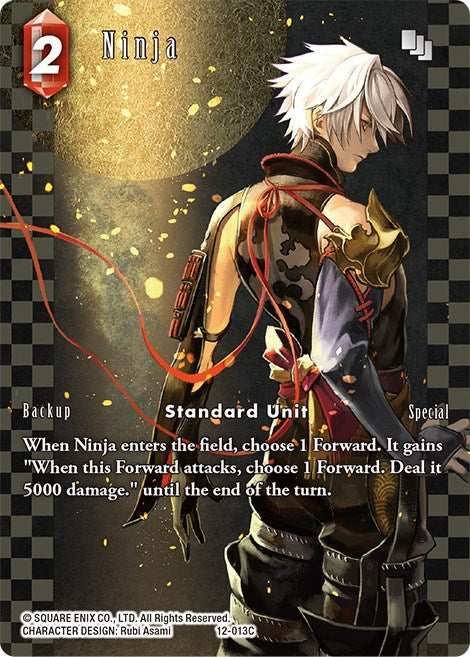Ninja (Arte completo) [Opus XII] 