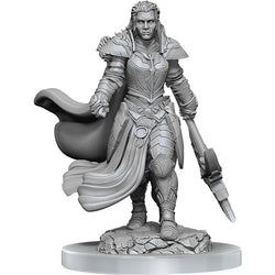 D&D Nolzur's Marvelous Miniatures: Unpainted Minis- Wave 20- Orc Fighter Female