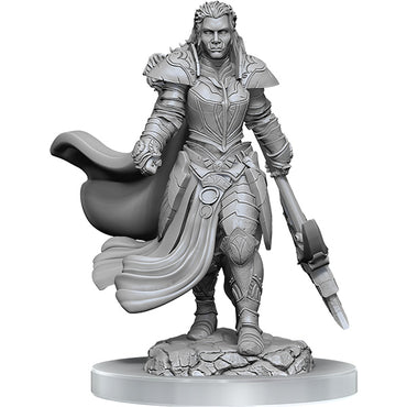 D&D Nolzur's Marvelous Miniatures: Unpainted Minis- Wave 20- Orc Fighter Female