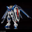 HGCE STTS-909 Rising Freedom Gundam 1/144
