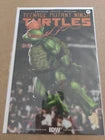 Teenage Mutant Ninja Turtle #1 NYCC  Sports Michelangelo Basket Ball