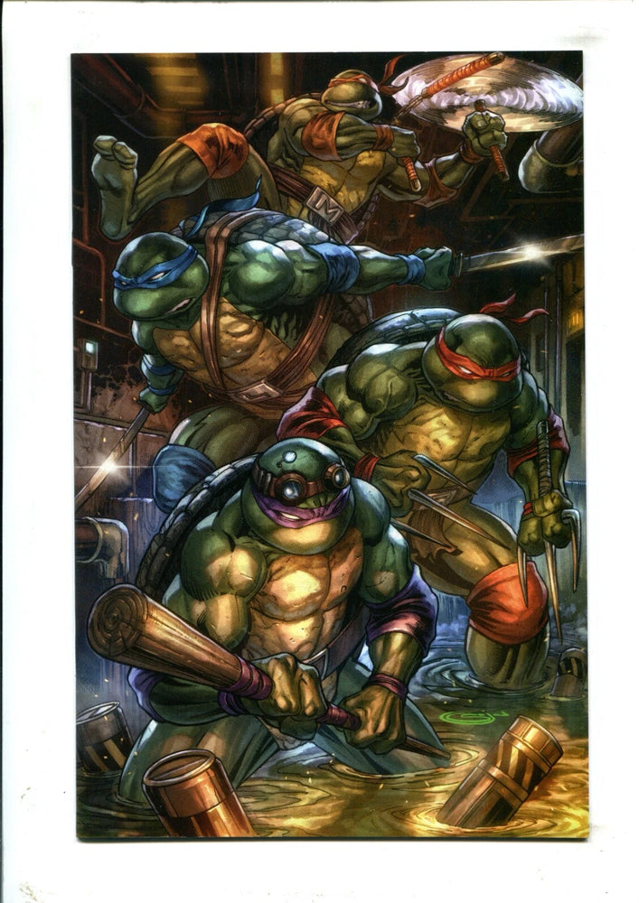 Teenage Mutant Ninja Turtles #1 (Whatnot) Virgin/ Sajad Shah