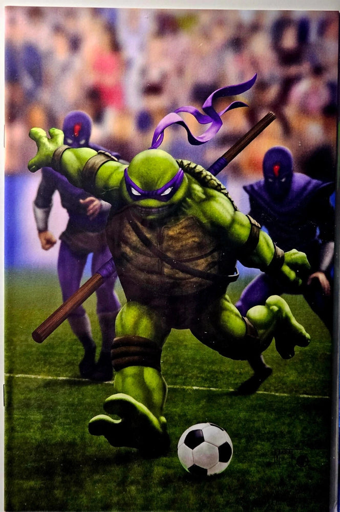 Teenage Mutant Ninja Turtle #1 NYCC  Sports (Donatello)