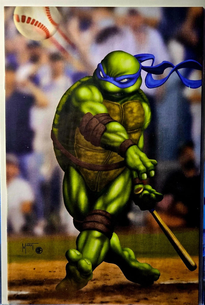 Teenage Mutant Ninja Turtle #1 NYCC  Sports (Leonardo)