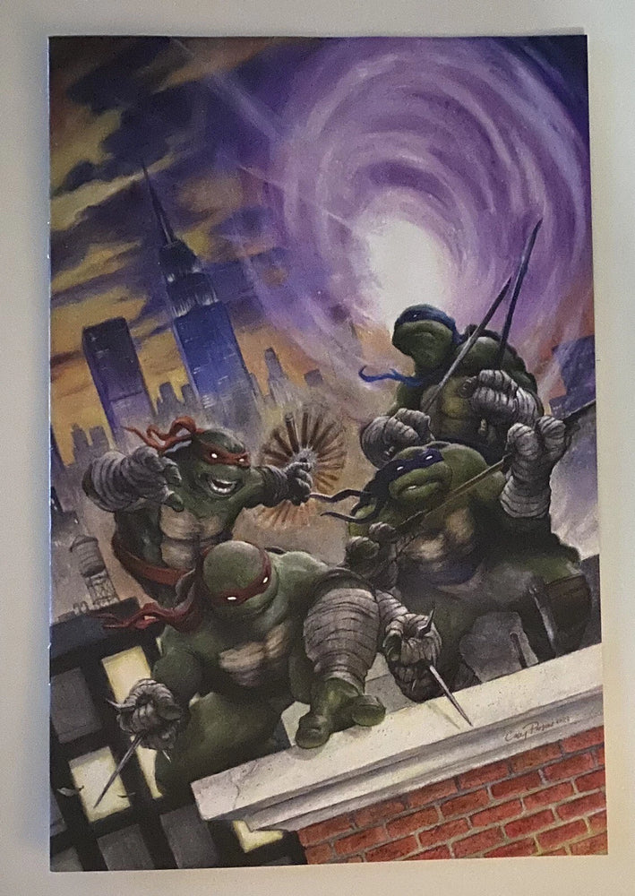 Teenage Mutant Ninja Turtles : Splintered Fate (RE Cover)