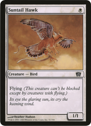Suntail Hawk (de gran tamaño) [Octava edición Box Topper] 