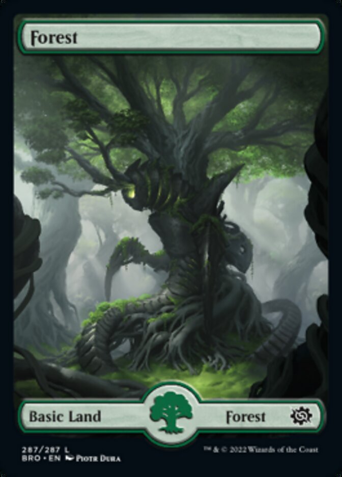 Bosque (287) [La guerra de los hermanos] 